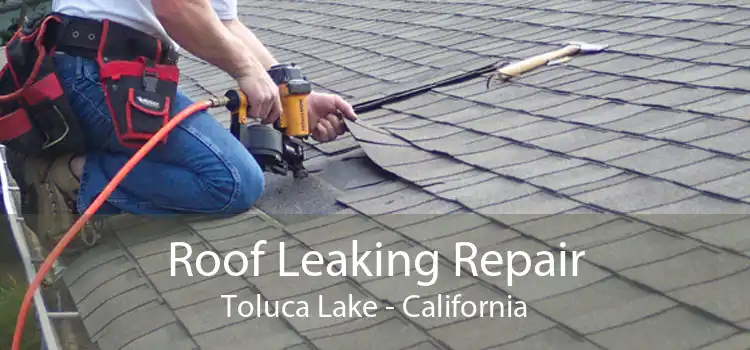 Roof Leaking Repair Toluca Lake - California