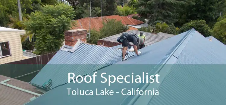 Roof Specialist Toluca Lake - California